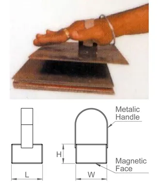 Palm Magnets